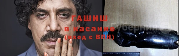 сатива Арсеньев