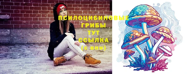 сатива Арсеньев