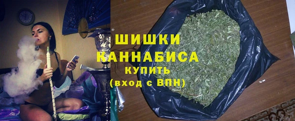 сатива Арсеньев