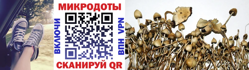 Псилоцибиновые грибы мухоморы  закладка  Аркадак 